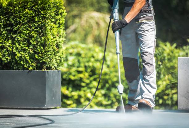 Best Factory Floor Cleaning  in Pamplico, SC