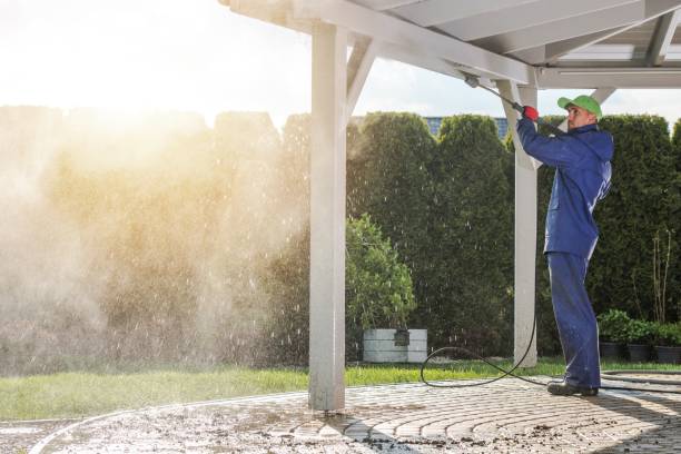 Best Gutter Cleaning  in Pamplico, SC
