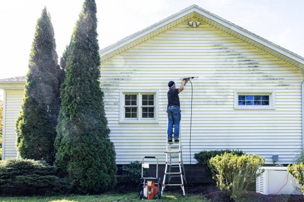 Best Parking Lot and Garage Cleaning  in Pamplico, SC